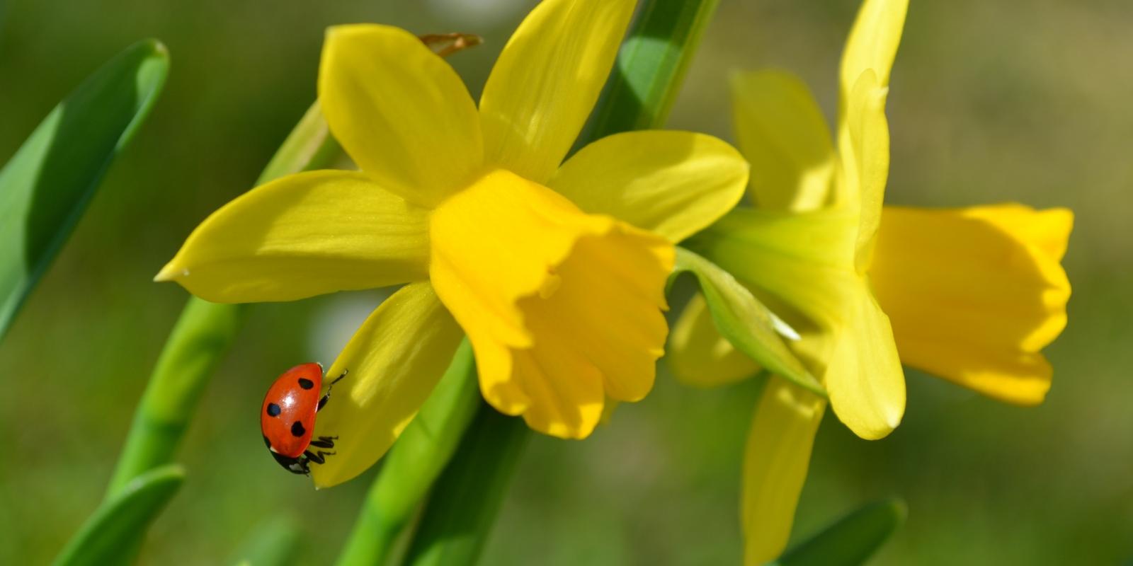 Kar- und Ostertage 2026